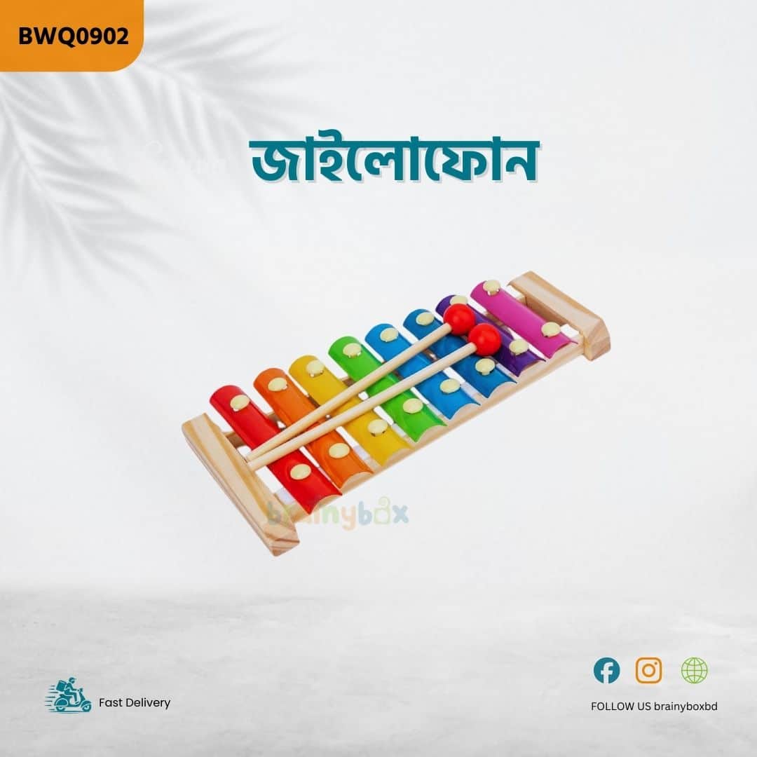 Xylophone - view 3