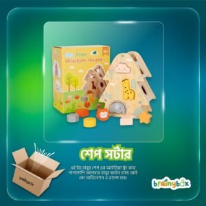 Shape Sorter