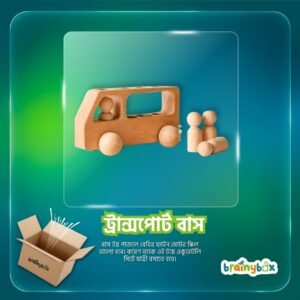 Transport Bus
