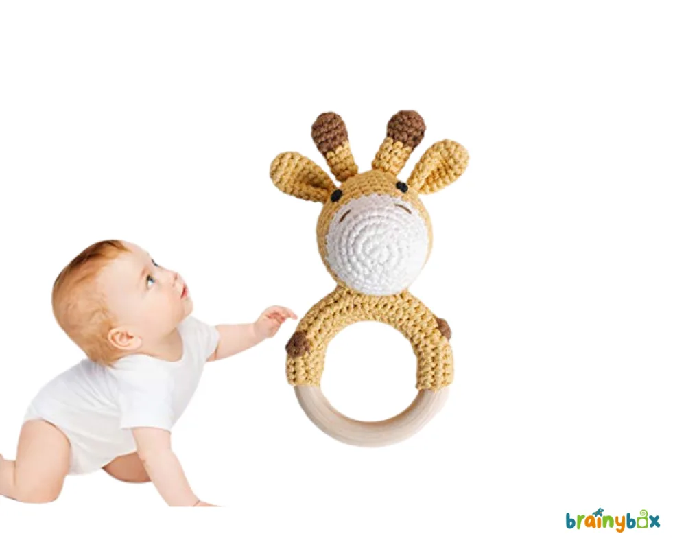 baby-playing-cotton-teether-rattle-brainybox-শিশু-খেলছে-কটন-থিতার-র্যাটল-ব্রেইনিবক্স.webp