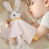 sleeping-with-bunny-toy-brainybox-বাঞ্জি-টয়-নিয়ে-ঘুমাচ্ছে-ব্রেইনিবক্স.webp