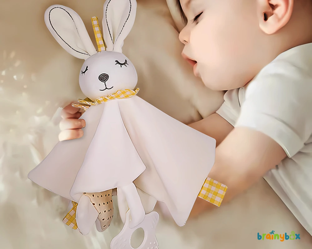 sleeping-with-bunny-toy-brainybox-বাঞ্জি-টয়-নিয়ে-ঘুমাচ্ছে-ব্রেইনিবক্স.webp